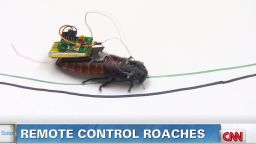 sstb.remote.control.roaches_00005830
