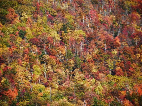 The Cherohala Skyway in Tennessee and North Carolina provides an unparalleled view of autumn color in the <a href="http://ireport.cnn.com/docs/DOC-858396">Cherokee National Forest</a>.