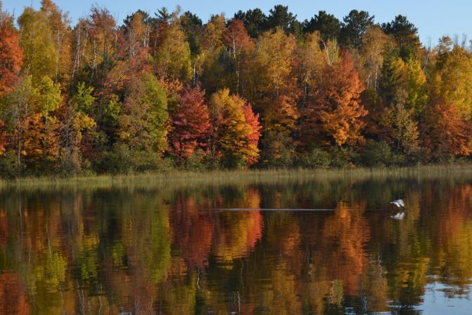 Autumn color is reflected in <a href="http://ireport.cnn.com/docs/DOC-856535">Ely Lake</a> in Minnesota.