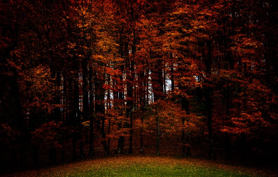Dark orange and red fall leaves provide a dramatic contrast to the green grass in <a href="http://ireport.cnn.com/docs/DOC-856315">Walden, Vermont</a>. 
