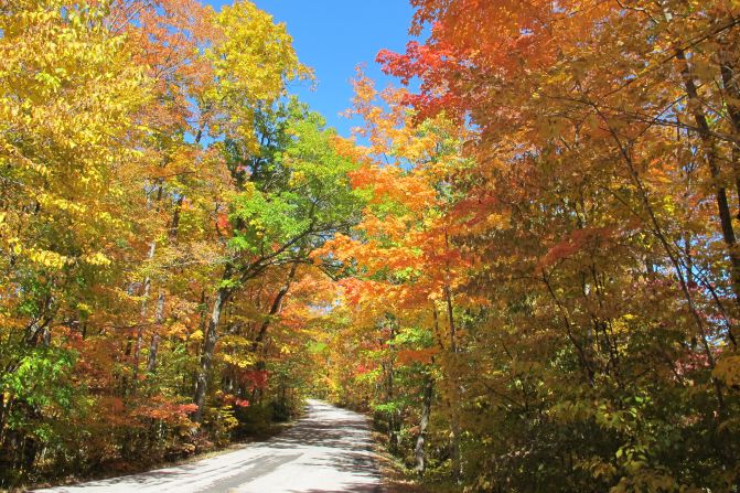 Cindy Schultz took her convertible on this <a href="http://ireport.cnn.com/docs/DOC-852131">Kettle Moraine, Wisconsin</a>, road, hoping to see some fall color. She wasn't disappointed!
