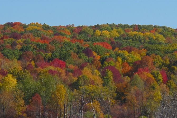 The forest canopy of <a href="http://ireport.cnn.com/docs/DOC-852131">Kettle Moraine, Wisconsin</a>, features daubs of nearly every fall color.
