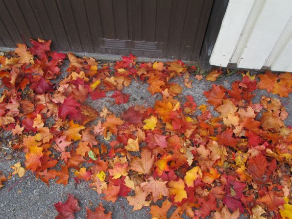 Bright, crunchy leaves pile up on a <a href="http://ireport.cnn.com/docs/DOC-855617">Stockholm sidewalk</a>.