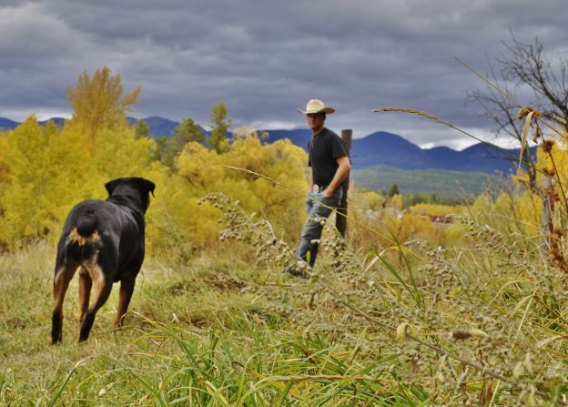 Stephan Ferry and his dog, Java, enjoy the yellow leaves of fall in their <a href="http://ireport.cnn.com/docs/DOC-858166">Whitefish, Montana,</a> backyard.