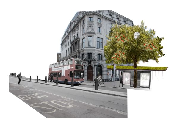 Creating miniature orchards in and around existing bus shelters could transform them into shared areas for cultivating food.