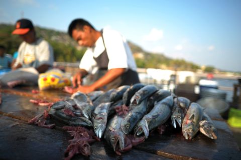 Fish mongers clean their catch in La Libertad, El Salvador. One of the benefits of traveling the world is experimenting with exotic, seasonal food, Kelly says. 