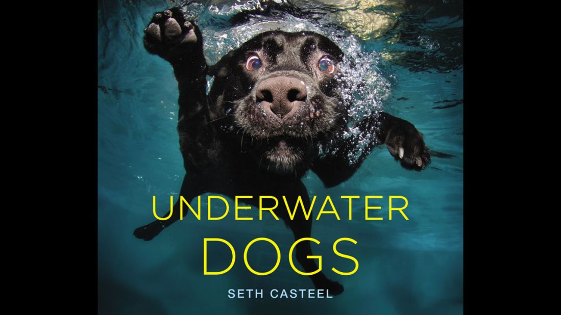 The cover dog, a black Labrador named Duchess, has the same name as photographer Seth Casteel's childhood pet.