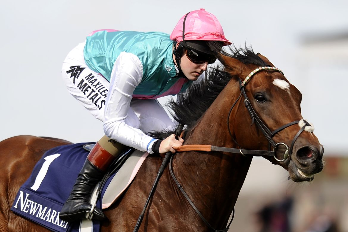 British thoroughbred Frankel remained unbeaten in 14 consecutive races. The colt won his last ever race in the Champions Stakes at Ascot.