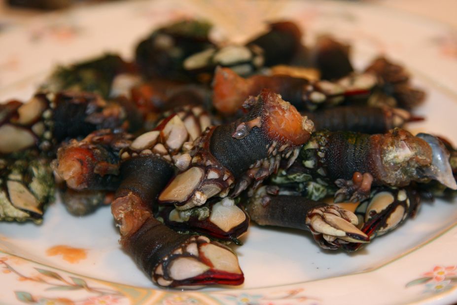 An appetizing plate of goose barnacles on display at a restaurant in San Sebastian, Spain. The compact northern Spanish city has a reputation for fine dining, playing host to seven Michelin star restaurants.