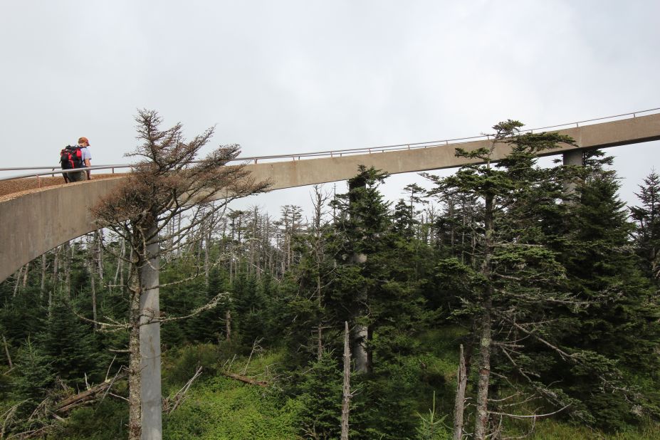 Clingmans Dome in Great Smoky Mountains National Park is the highest point on the entire trail, at 6,643 feet.