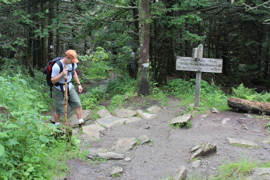 Walking up to Clingmans Dome in Great Smoky Mountains National Park, hikers may see the southern-most  Appalachian spruce-fir forest, black bears and red-cheeked salamanders.