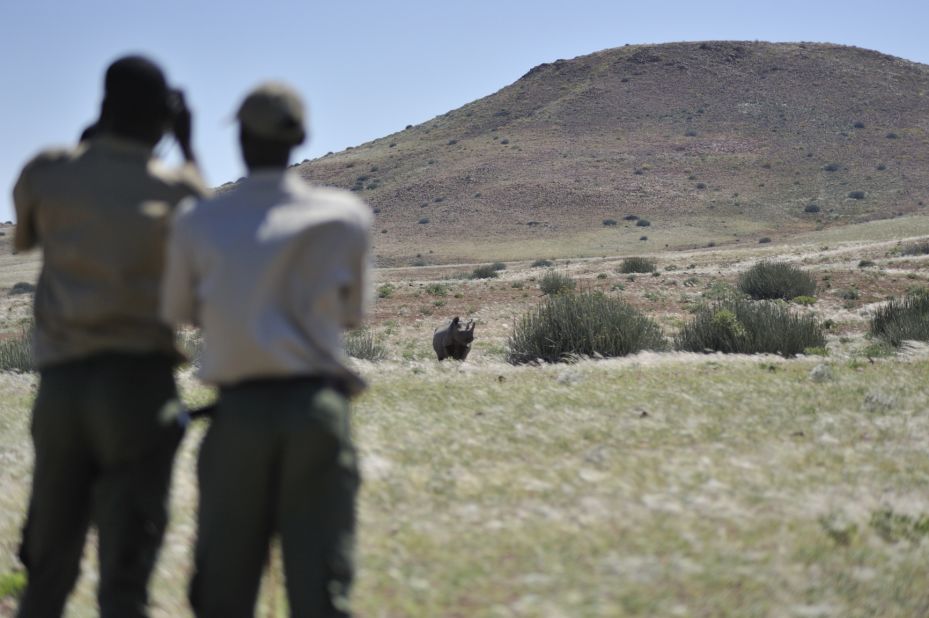 Much of Namibia's wildlife on communal land was critically endangered until the 1980s, but a radical rethink to make poachers 'game guards' reversed the fortunes of many community members and has led to a steady increase in animal numbers.