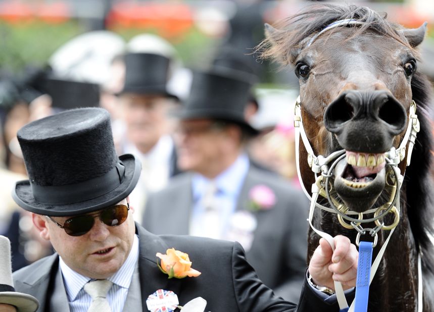 It was later revealed the six-year-old horse (pictured with co-owner Peter Moody) won the dramatic Ascot race with a muscle injury. 
