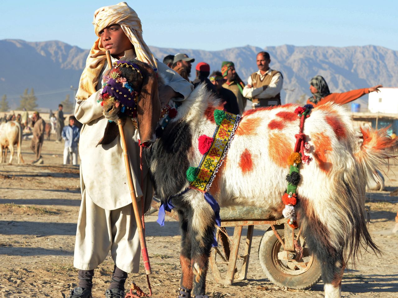A Pakistani youth stands with a goat at a livestock market in Quetta on Tuesday ahead of the Muslim sacrificial festival of Eid al-Adha.