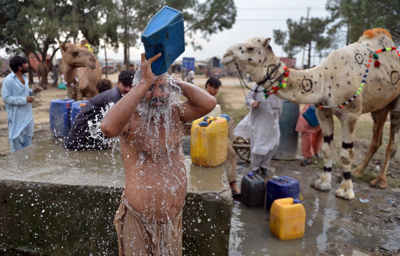 A Pakistani livestock trader takes a bath beside camels at one of the main animal markets in Islamabad on Friday.