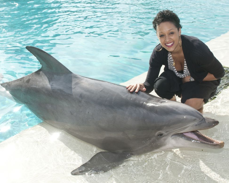 Tia Mowry spends time at SeaWorld in San Diego.