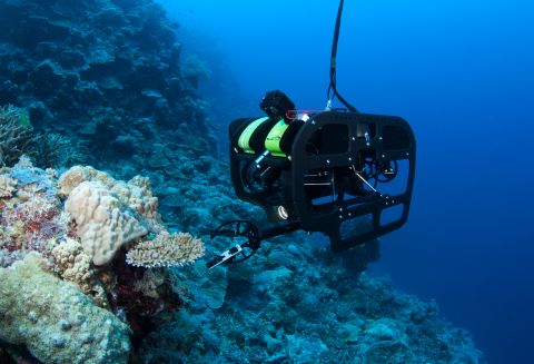 Remote operated vehicles (ROVs) were used to get to depths of around 100 meters, much deeper than normal scuba divers are able to go.