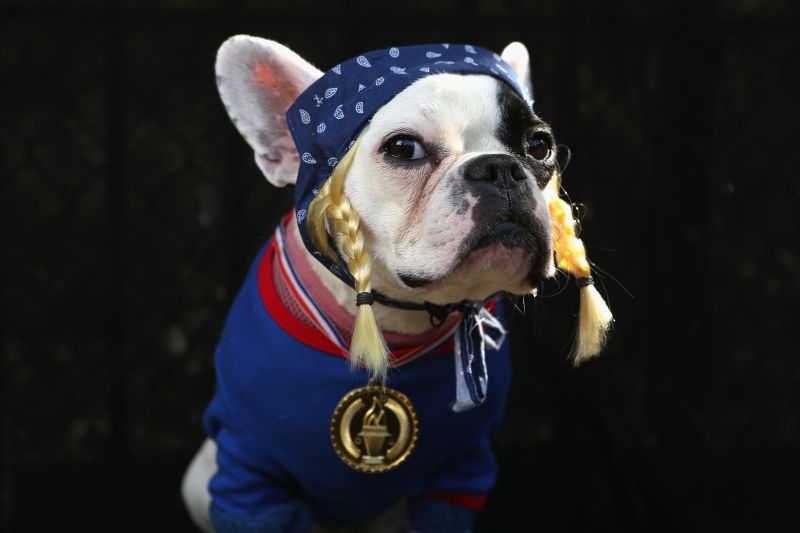 Patriotic dog cheap costumes