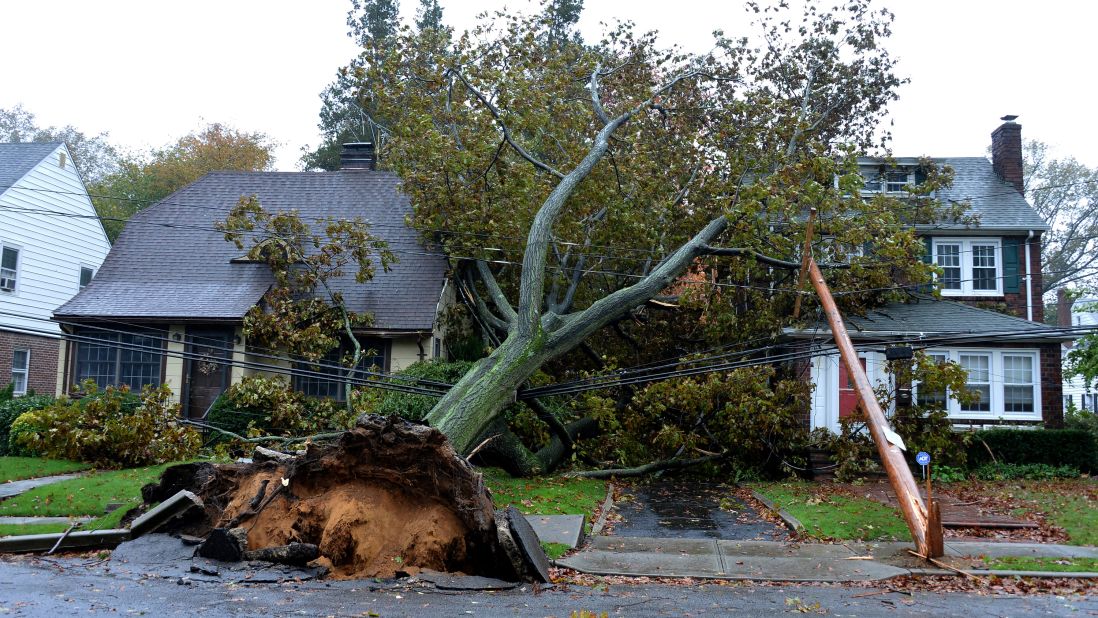A downed tree and fallen power lines lie over homes Monday on Harvard Street in Garden City, New York.