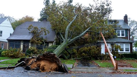 A fallen tree and power line lies over these homes on Harvard Street in Garden City, New York.