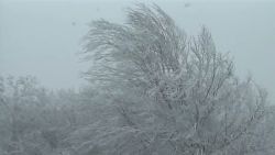 dnt Sandy blows snow into North Carolina mountains_00003204