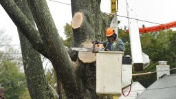 A worker cuts down a tree iin the American University neighbourhood of Washington, D.C., on Tuesday.