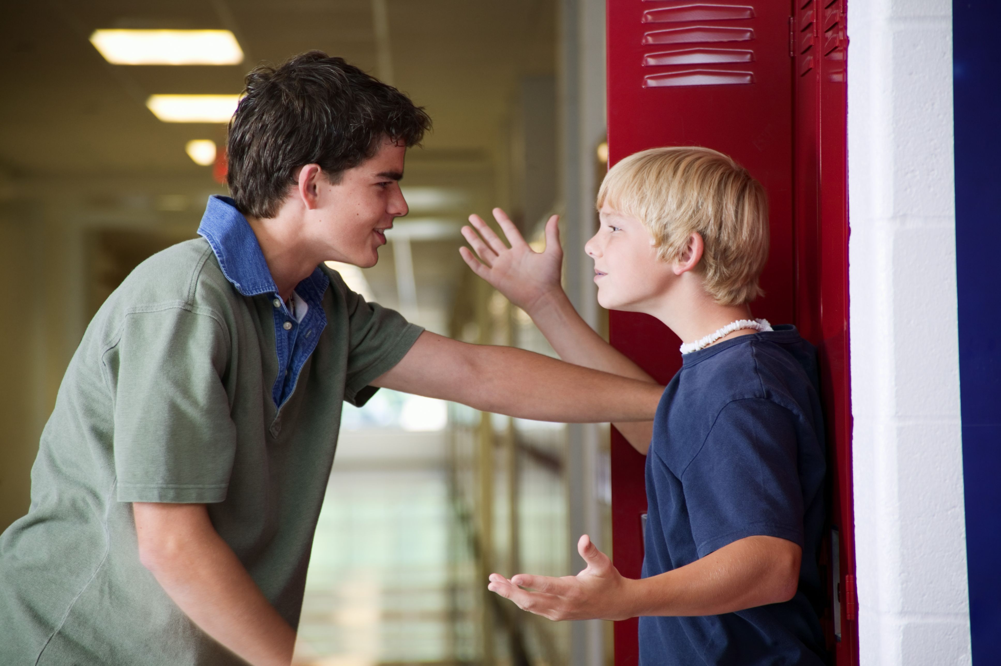 Bullying: The Cycle of the Bullied and the Bully
