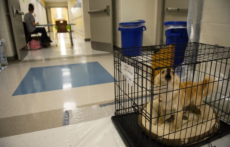 While taking shelter in Cap Henlopen High School hallway, Kathy Florczyk's dog Casey barks from his crate as the Delaware residents wait for Hurricane Sandy.