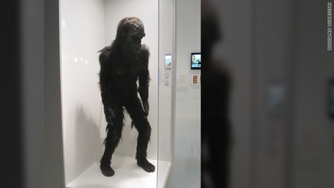 The costume for "Moonwatcher," the ape from "the dawn of man" who threw that famous bone toward the heavens in Kubrick's sci-fi film, "2001: A Space Odyssey." 