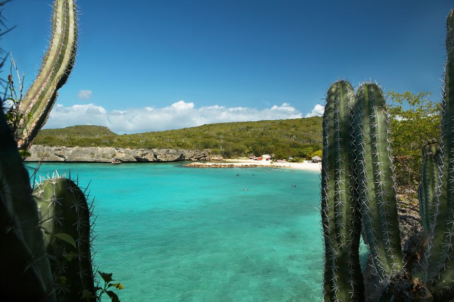 Escape to Curacao for an island vibe mixed with a taste of the Netherlands.