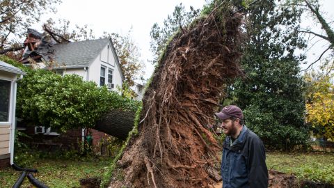 Sam Rigby walks by a tree that fell and grazed his house and hit his neighbor's house during Superstorm Sandy. 
