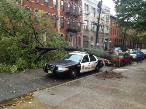 iReporter Jon Ferrari took this photograph Monday afternoon, October 29, in Jersey City showing a fully uprooted tree. 