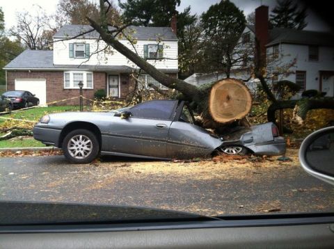 Eric Nelms was driving to the store in Orange on Tuesday, October 30, when he took this picture. He saw many trees down in his neighborhood, and now that the weather has calmed down, people have begun clearing their yards.