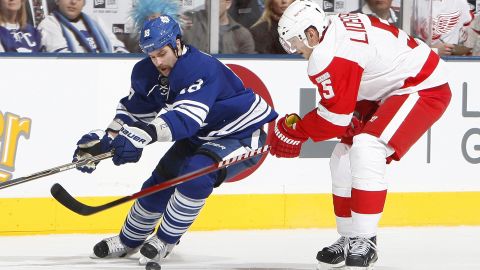 Mike Brown of the Toronto Maple Leafs strips the puck from Nicklas Lidstrom of the Detroit Red Wings during a game last January.
