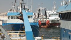 eon pkg curnow fishing in namibia_00011225