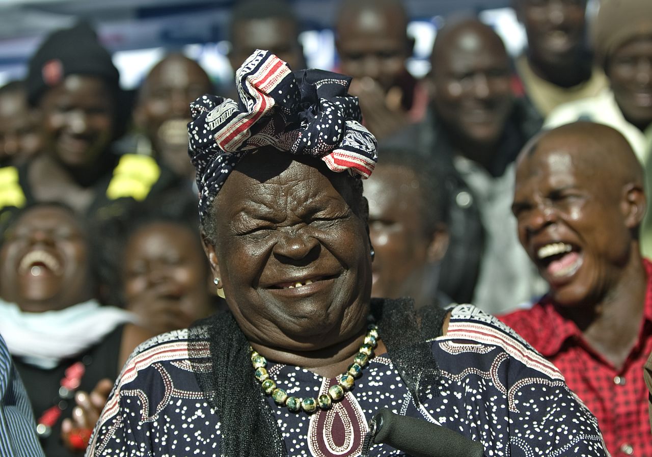 Sarah Obama, step-grandmother to Obama, smiles during a press conference Wednesday in the hamlet of Kogelo in western Kenya after Obama's victory was announced.