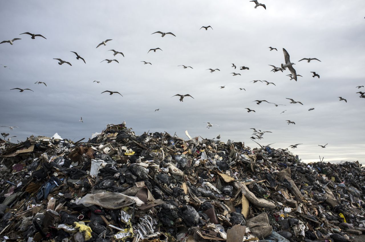 Seagulls seek food at in remnants of Rockaway Beach homes.