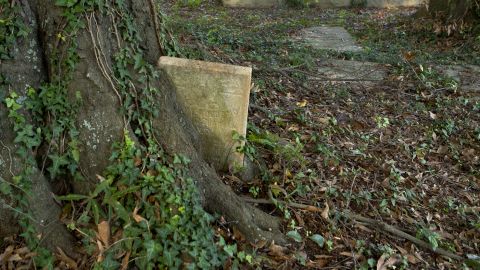 Monthly cleanups at Linwood Cemetery have uncovered dozens of graves, swallowed by vegetation.