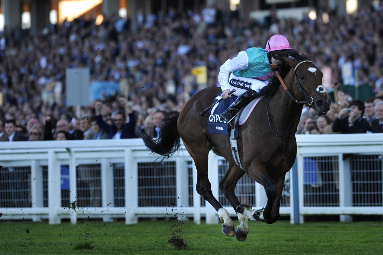 "Frankel was a cracking name -- it jumped out of the microphone," says racing commentator Cornelius Lysaught. The superstar colt, who recently retired after an unblemished 14-win career, scooped the main prize at the 2012 UK Horse of the Year awards.