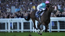 "Frankel was a cracking name -- it jumped out of the microphone," says racing commentator Cornelius Lysaught. The superstar colt, who recently retired after an unblemished 14-win career, scooped the main prize at the 2012 UK Horse of the Year awards.