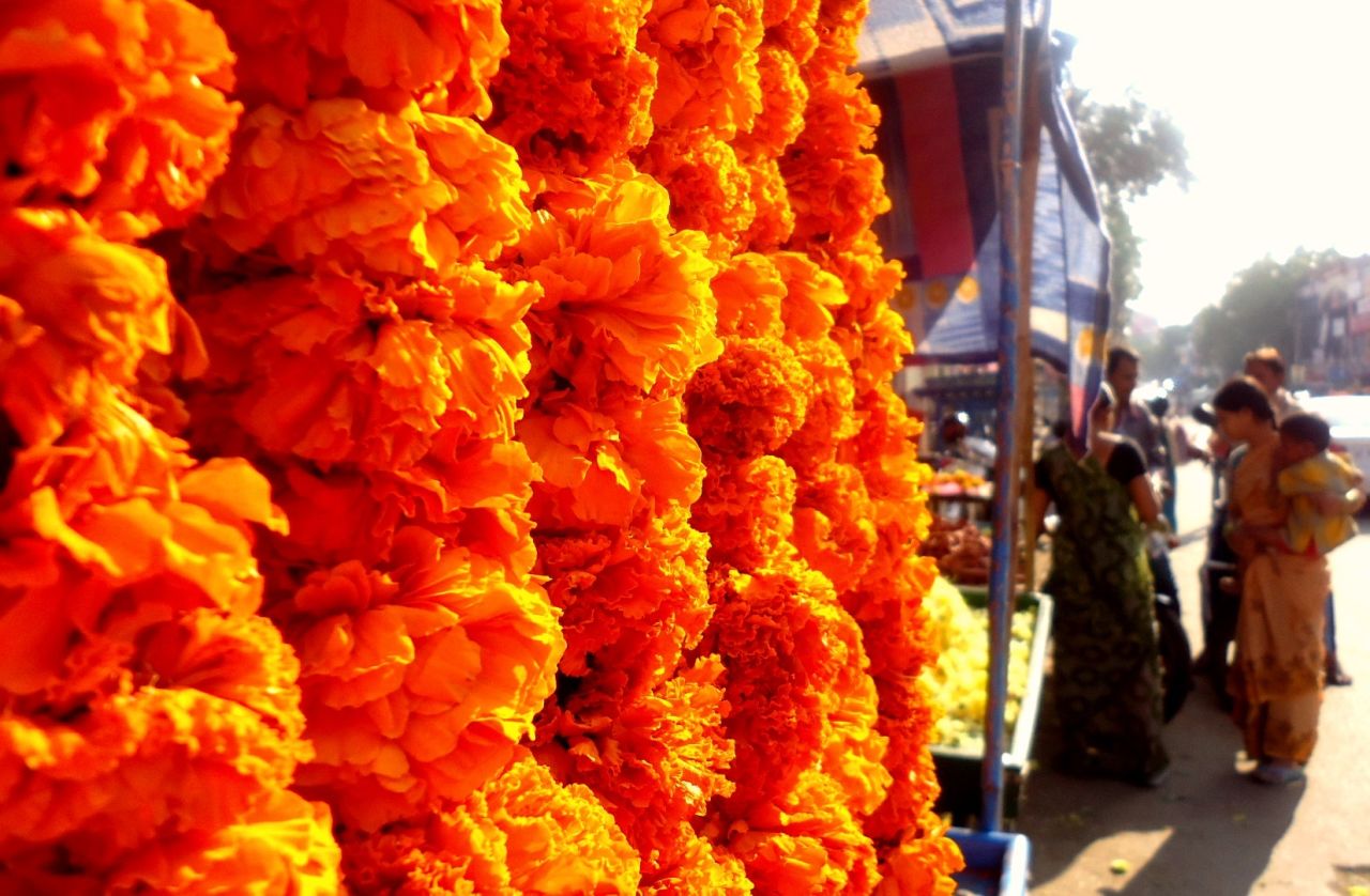 The vibrantly colored flowers in this picture, captured in Secunderabad, India, display the electrifying energy that Diwali brings, says iReporter <a href="http://ireport.cnn.com/people/giveagalapal">Temitope Adekanbi</a>. "The cultural emphasis [of] the idea of 'good trumping evil' through the use of bright colors, firecrackers, lights, and lamps, I believe, add a powerful and magical element to the day," she says.