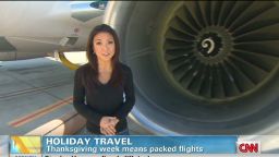 early endo holiday travel recut_00004907