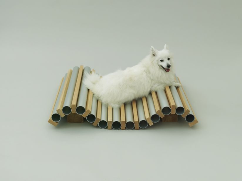"Dog Cooler" by Hiroshi Naito for a Spitz.