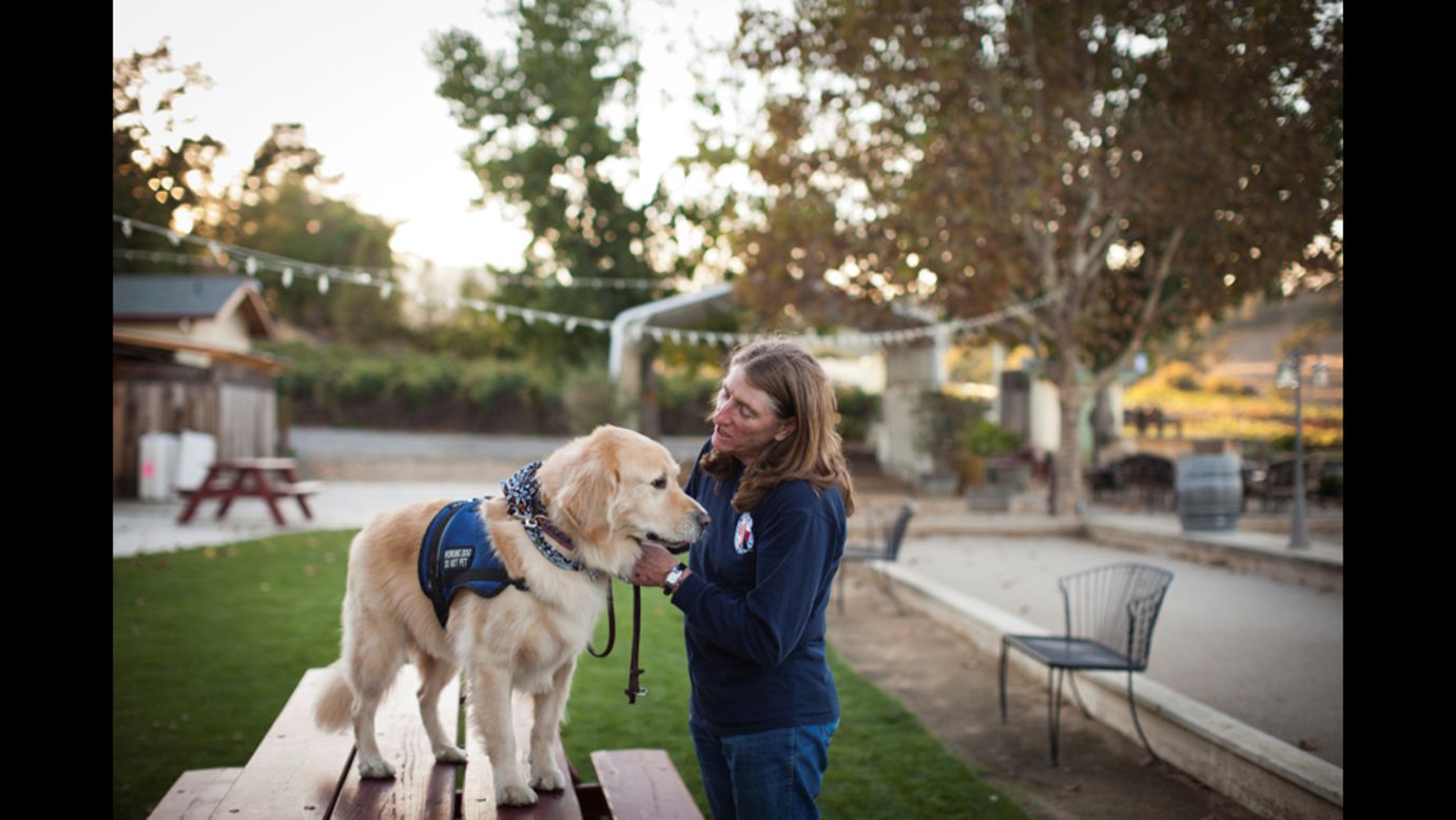 Cortani started training dogs more than 30 years ago while she was in the Army, and she translated that to civilian life, where she runs a canine obedience school. It was only recently that she started focusing on war veterans.