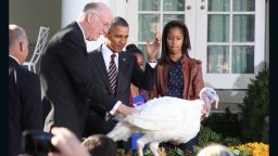 With daughters Sasha and Malia looking on, President Barack Obama pardons Cobbler, the National Thanksgiving Turkey, at The White House Wednesday.