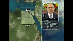 exp Mohamed ElBaradei Egypt Morsi_00002001