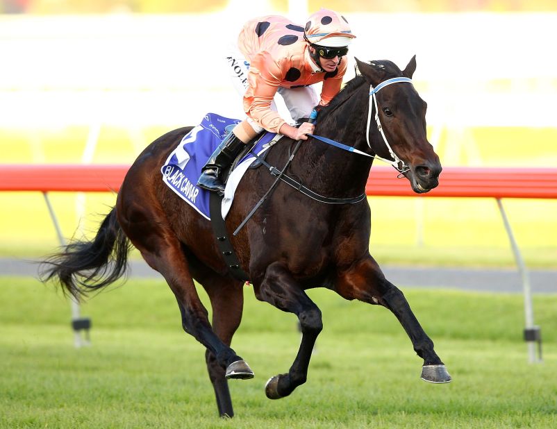 Australian mare Black Caviar may have been out of action for eight months, but she still remains one of the top-rated race horses in world, boasting an unblemished 22-win record.