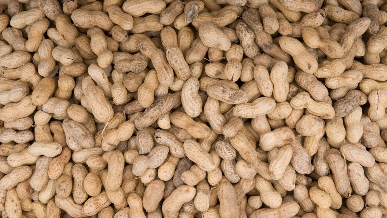 Mothers who eat nuts during pregnancy may help build up a baby's tolerance to them after birth, a new study suggests.