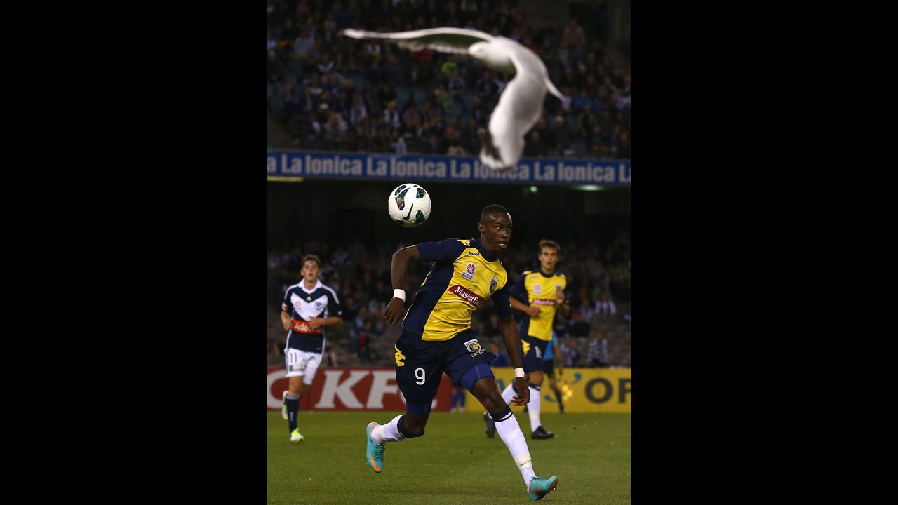 Bernie Ibini of the Mariners competes for the ball during the round seven A-League match between the Melbourne Victory and the Central Coast Mariners on November 17 in Melbourne, Australia.