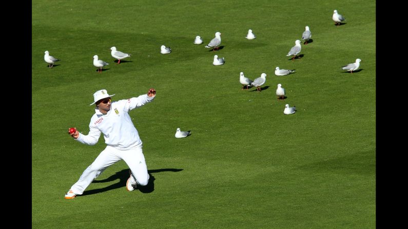 Alviro Petersen of South Africa fields the ball during day five of the third Test match between New Zealand and South Africa on March 27 in Wellington, New Zealand.